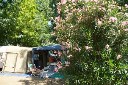 Special offer camping pitches