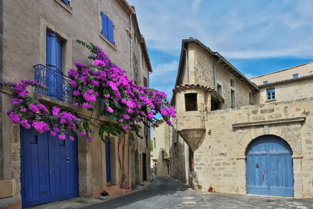 Ruelle avec fleurs mauves et portes bleues.