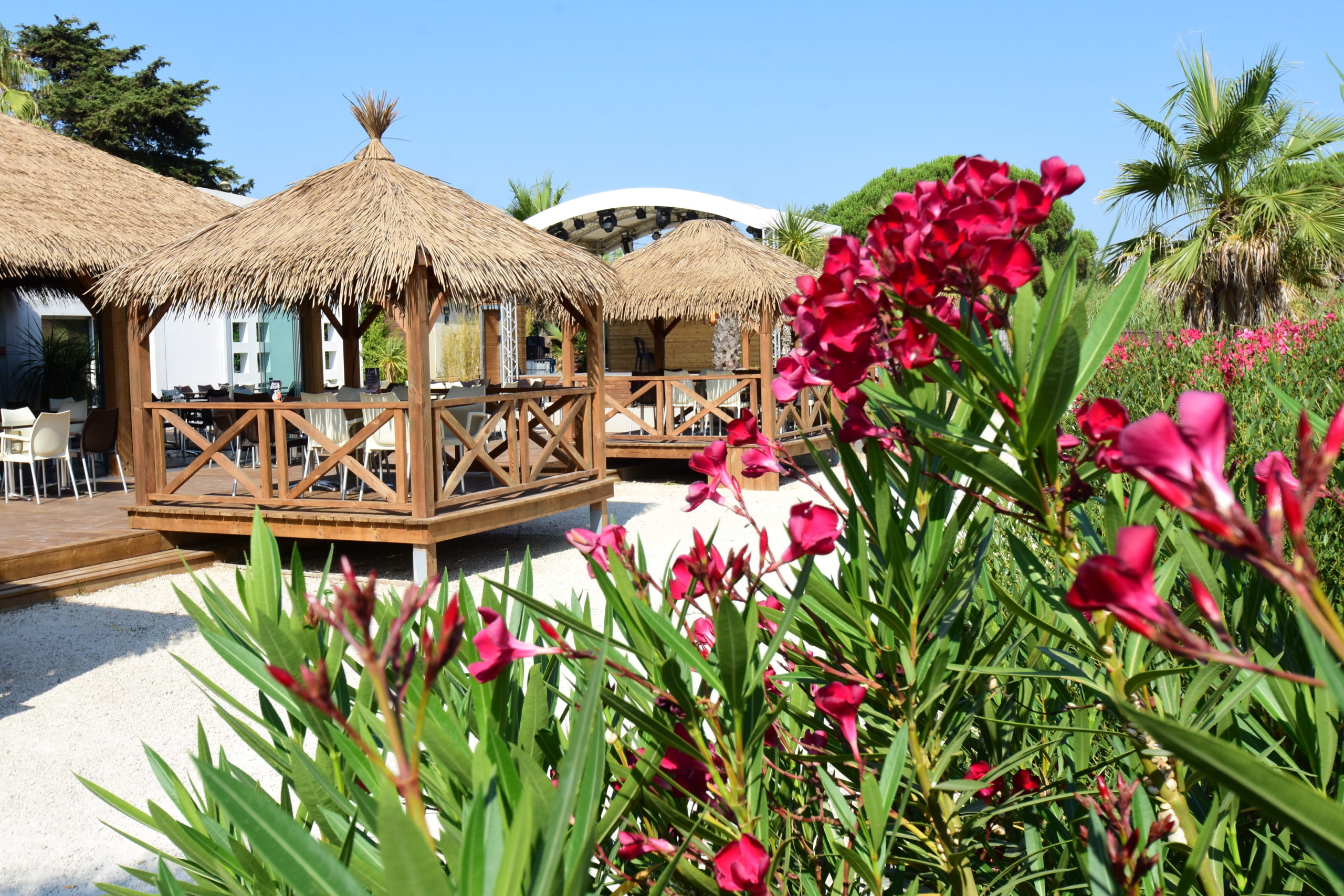 Paillotes en bois près de fleurs roses.