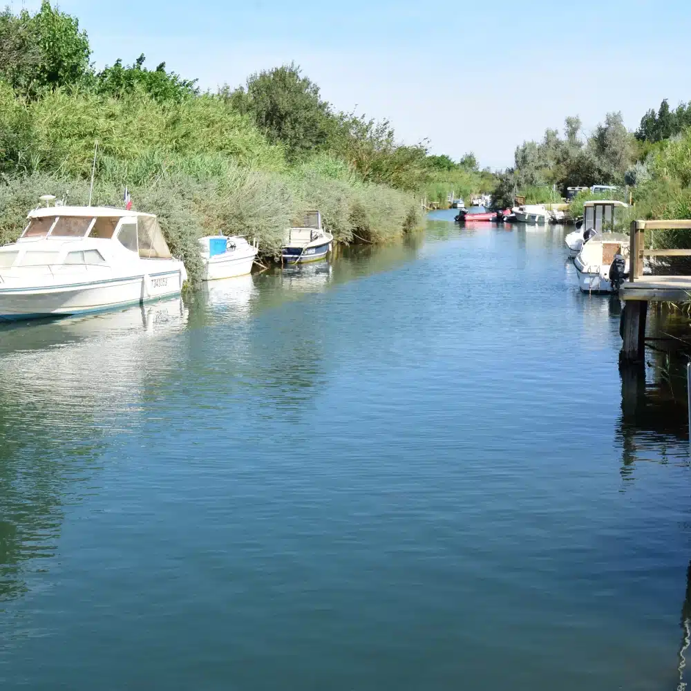 Canal avec bateaux amarrés et végétation luxuriante.