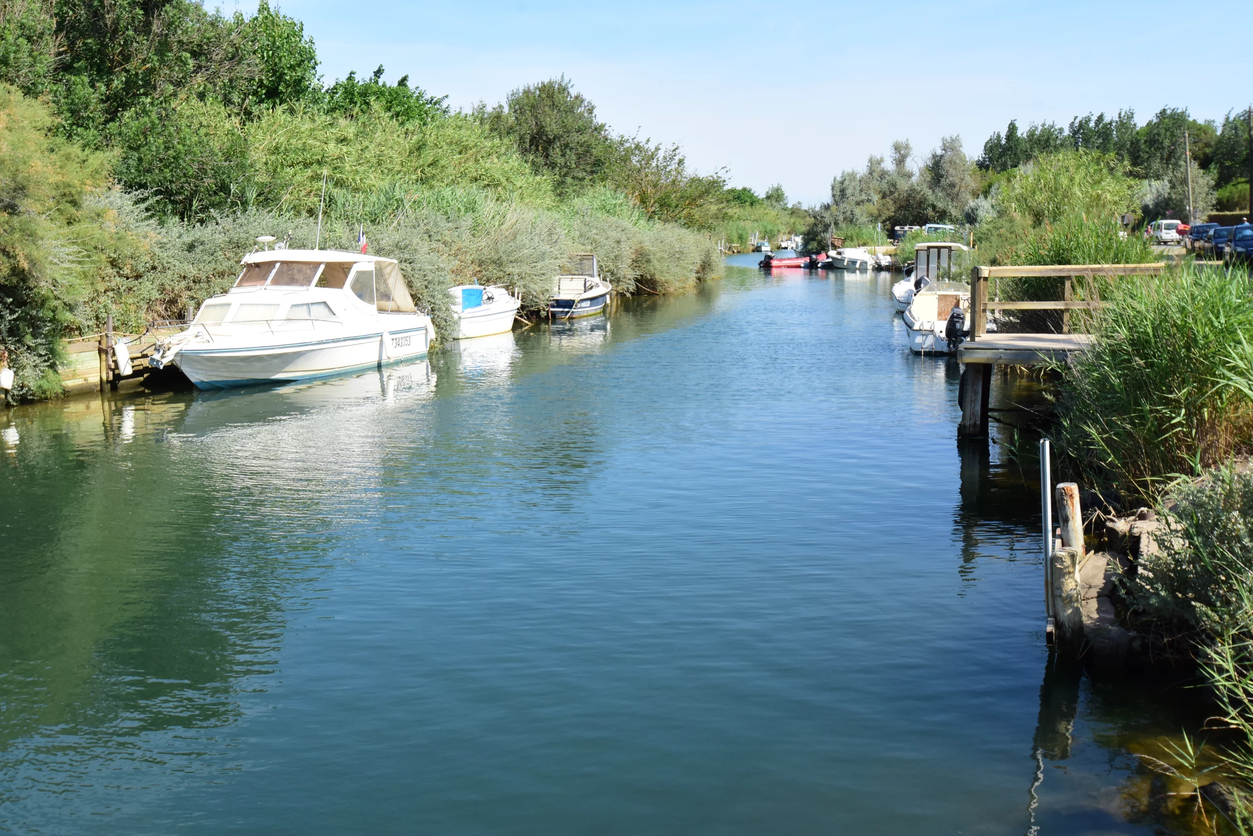 Canal avec bateaux amarrés et végétation luxuriante.