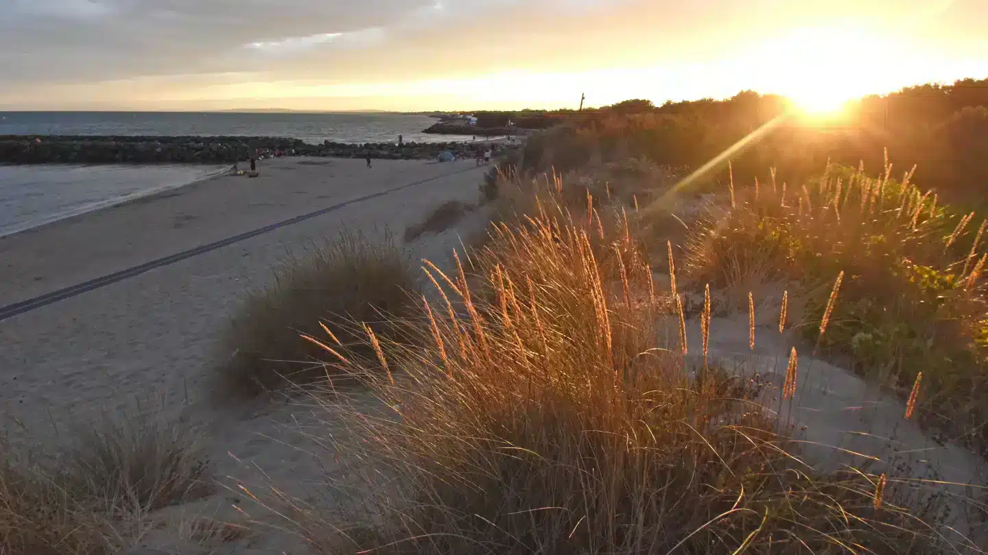 Coucher de soleil sur plage avec dunes.