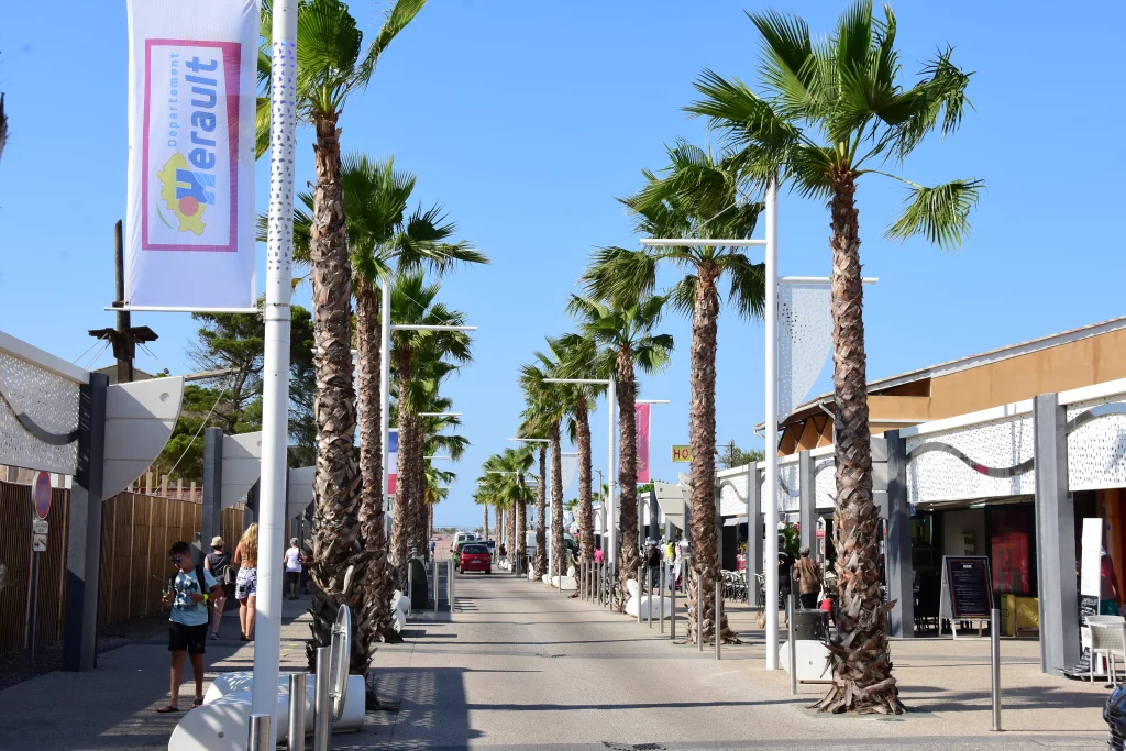 Avenue bordée de palmiers sous ciel bleu