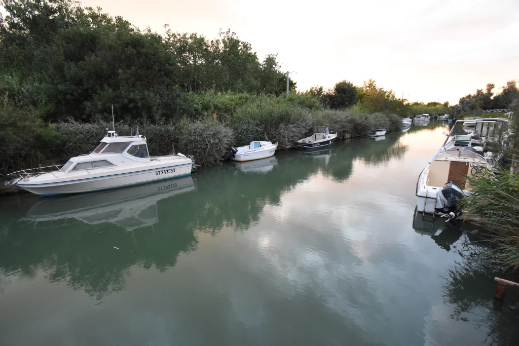 Bateaux amarrés sur un canal bordé de végétation.