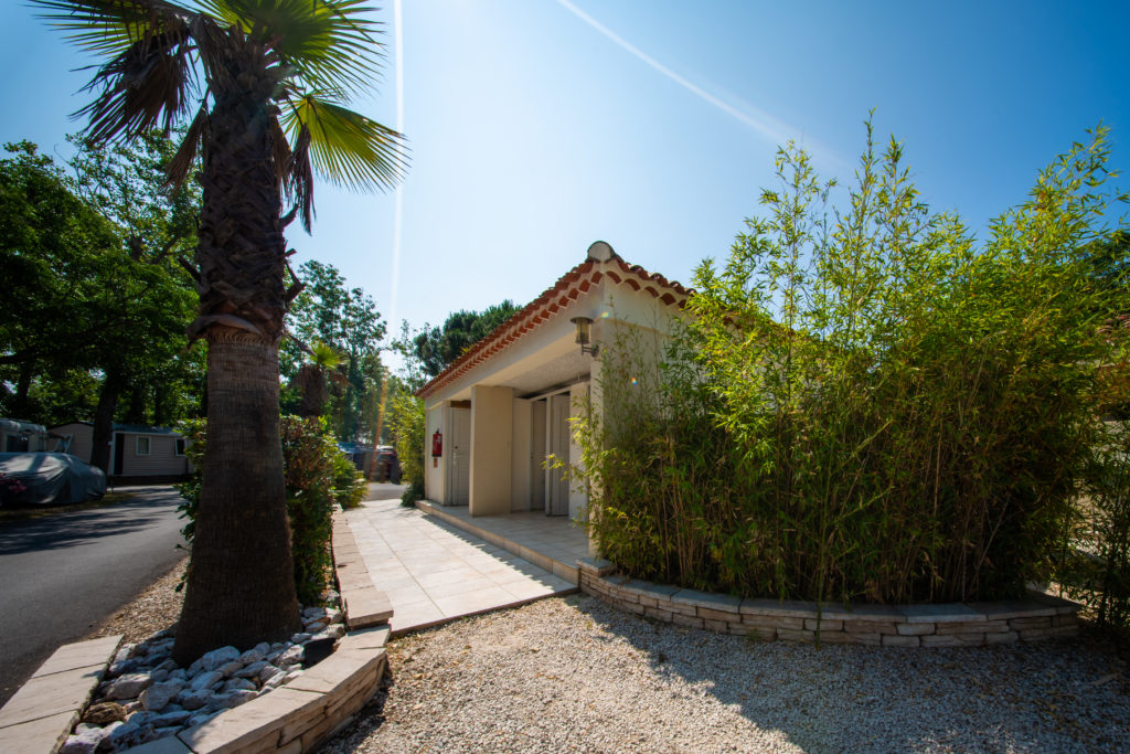 Bâtiment blanc, palmier et bambous, ciel bleu.