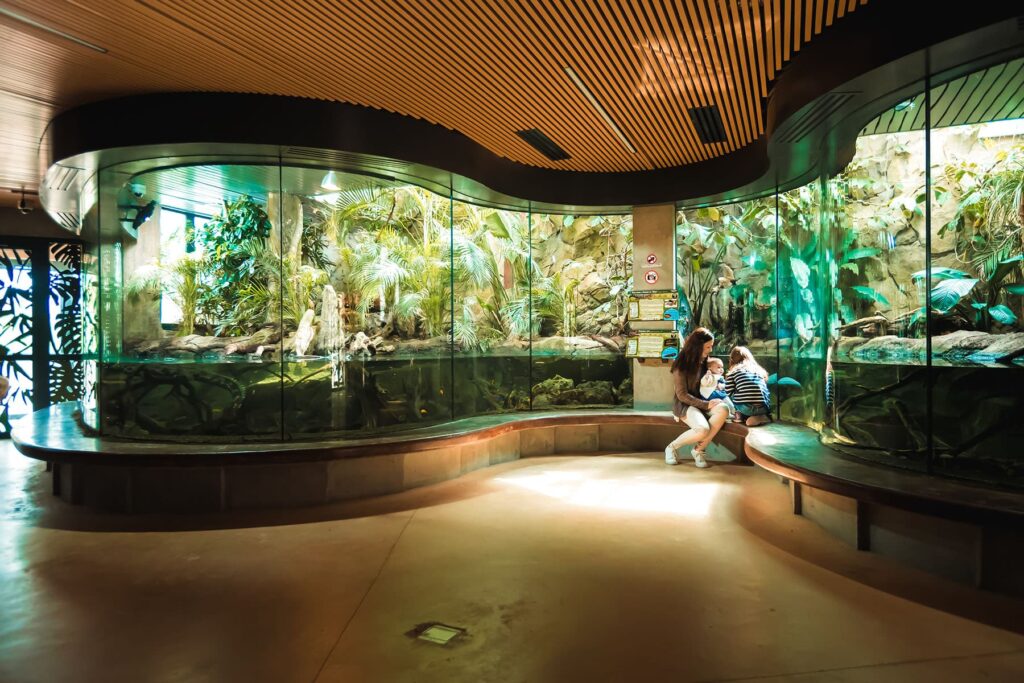 Familie beobachtet ein tropisches Aquarium.