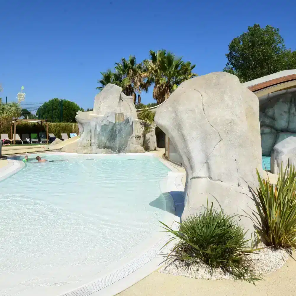 Piscine avec rochers et palmiers