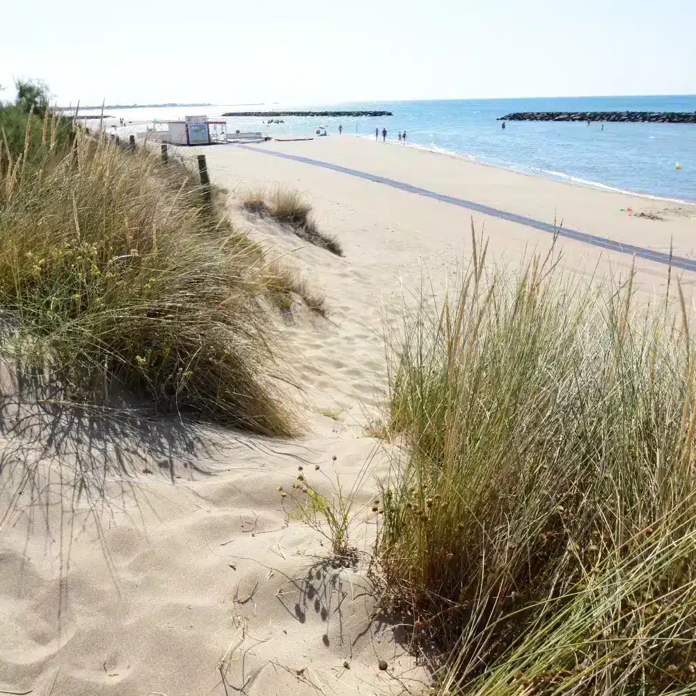 Plage ensoleillée avec dunes et mer bleue.