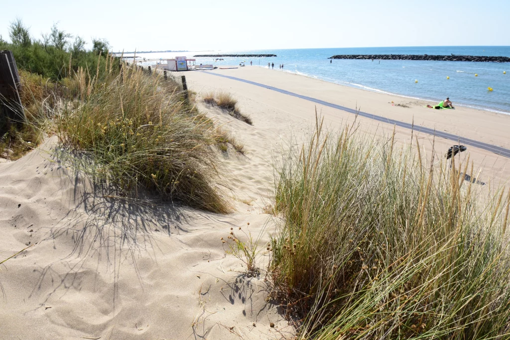 Plage ensoleillée avec dunes et mer bleue.