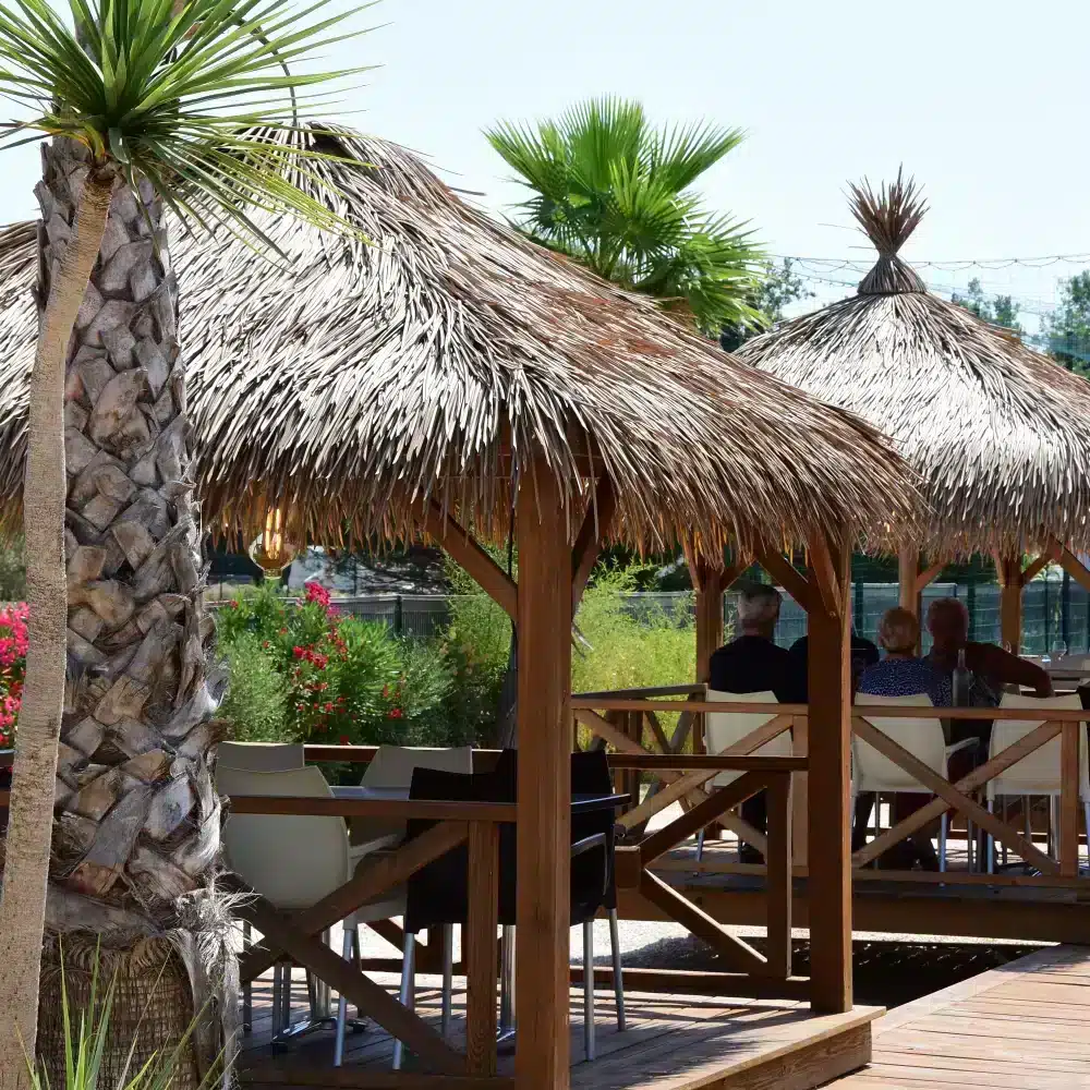 Terrasse extérieur avec paillotes et palmiers.