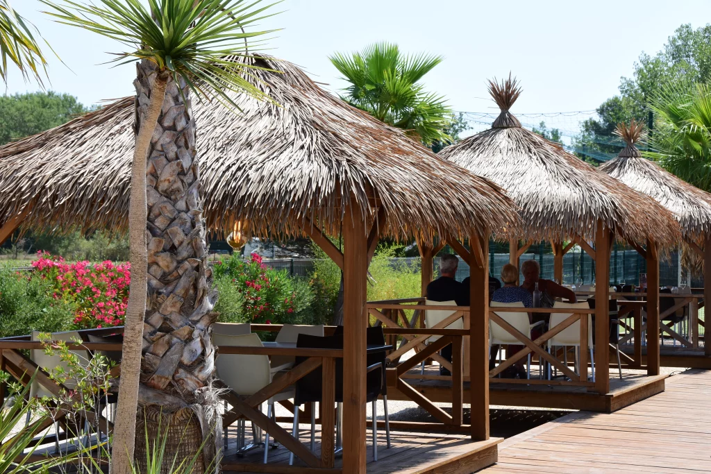 Terrasse extérieur avec paillotes et palmiers.